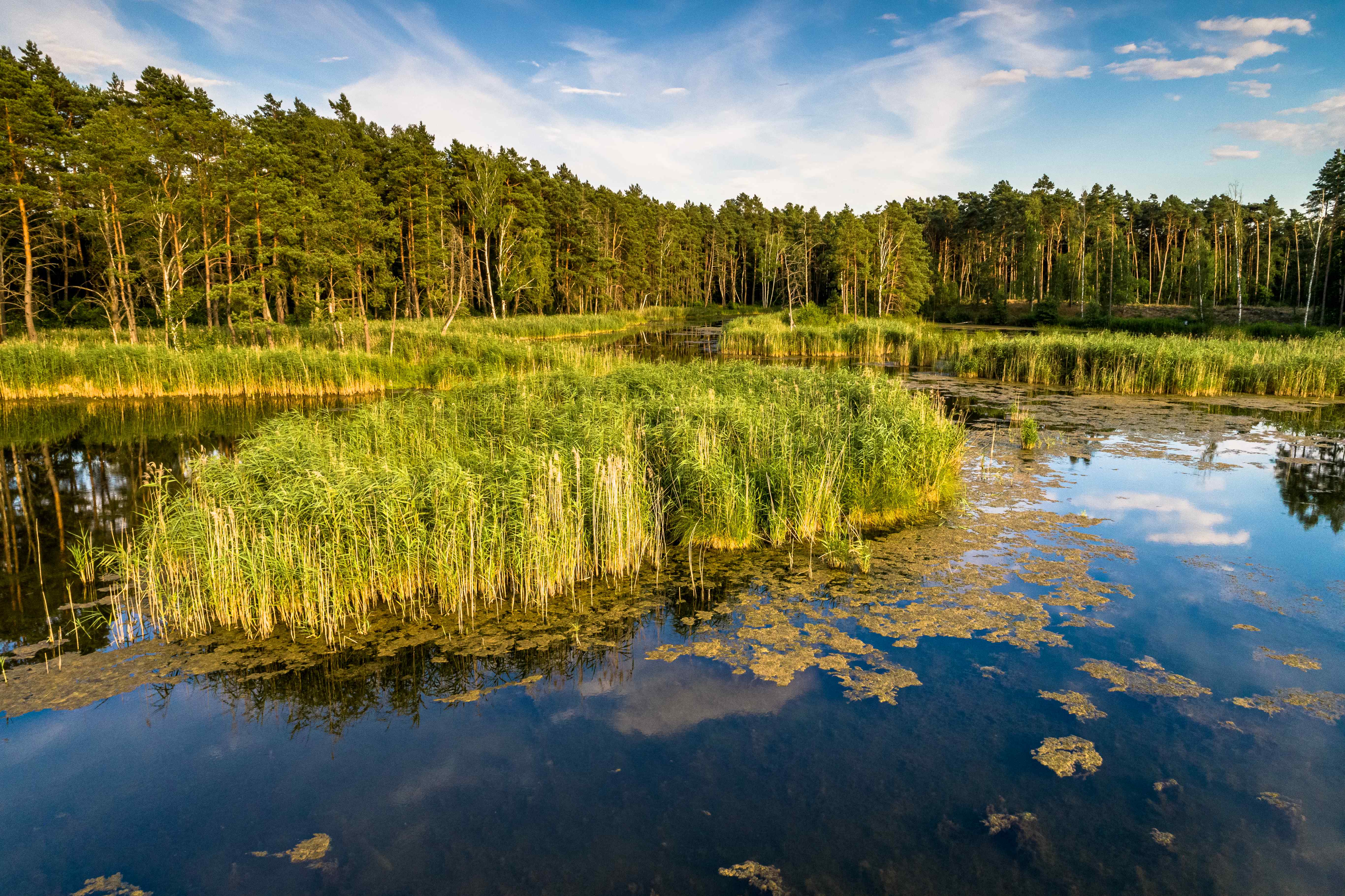 Wycieczka nad Przysieckie Stawy